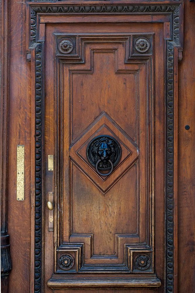 Vienna, Austria. Old wooden door with lion door knocker.